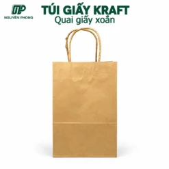 Túi giấy co quai giấy qp tg15 5x25