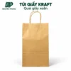 Túi giấy co quai giấy qp tg19 533