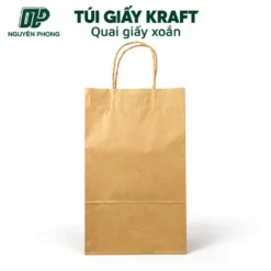 Túi giấy co quai giấy qp tg19 533