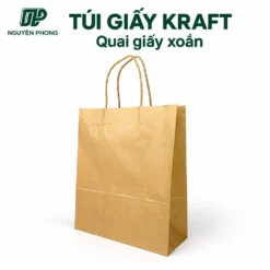 Túi giấy co quai giấy qp tg2530