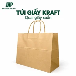 Túi giấy co quai giấy qp tg3025