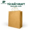 Túi giấy Kraft quai giấy xoắn TG3342 1 Túi giấy co quai giấy qp tg3342